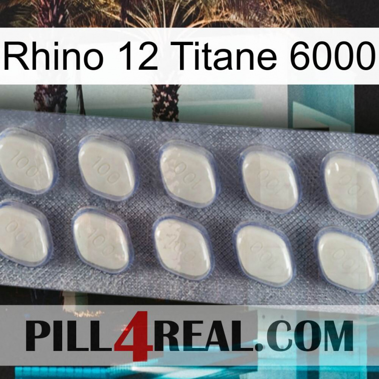 Rhino 12 Titanium 6000 08